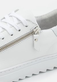 Steve Madden OLIVERO - Sapatilhas - white