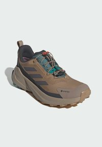Beżowe buty do biegania po szlakach z szarymi akcentami, brandingiem GORE-TEX, teksturowaną gumową podeszwą i turkusowymi sznurowadłami. Posiadają wyściółkę kołnierza dla komfortu.