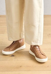 Δεν επιλέχθηκε, dear brown