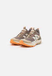 Salomon ELIXIR ACTIV GTX  - Obuća za pješačenje - falcon/white pepper/papaya