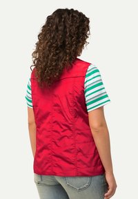 Rote gestepfte Weste mit einem strukturierten Kragen, kombiniert mit einem grün-weißen gestreiften T-Shirt. Sichtbare Rückennähte und leichter Stofftextur.