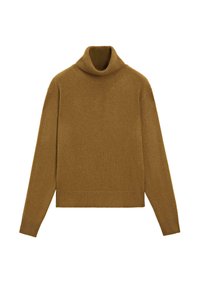 Maglione a collo alto marrone realizzato in morbido tessuto a maglia. Presenta una vestibilità comoda, colletto e polsini a coste. Tessuto liscio senza schemi visibili.