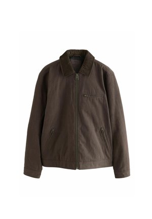 REGULAR FIT - CORD COLLAR  - Chaqueta de entretiempo - brown