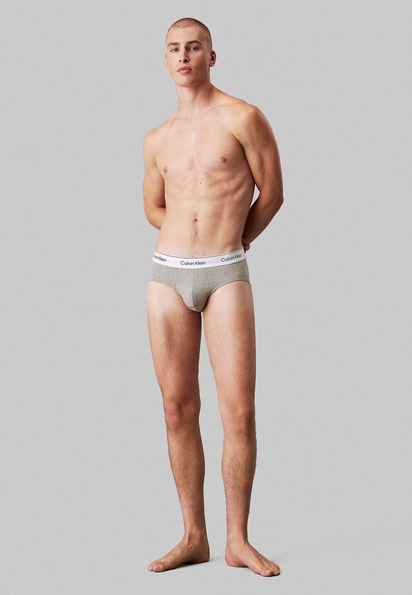 HIP ICON 3 PACK  - Briefs - shoreline gr heather lively teal