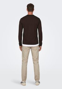 Only & Sons WYLER LIFE REG 14 LS NOOS - Polo shirt - braun