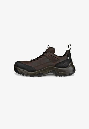 Chaussure de randonnée marron avec une semelle en caoutchouc robuste, tige en cuir et accents noirs. Dispose d'un capuchon de protection renforcé et d'un col rembourré pour le confort.