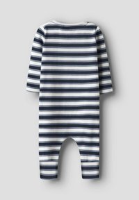 Gestreepte babyjumper in marineblauw en wit, met lange mouwen, een ronde halslijn en zachte katoen stof. Ontworpen voor comfort en bewegingsvrijheid.