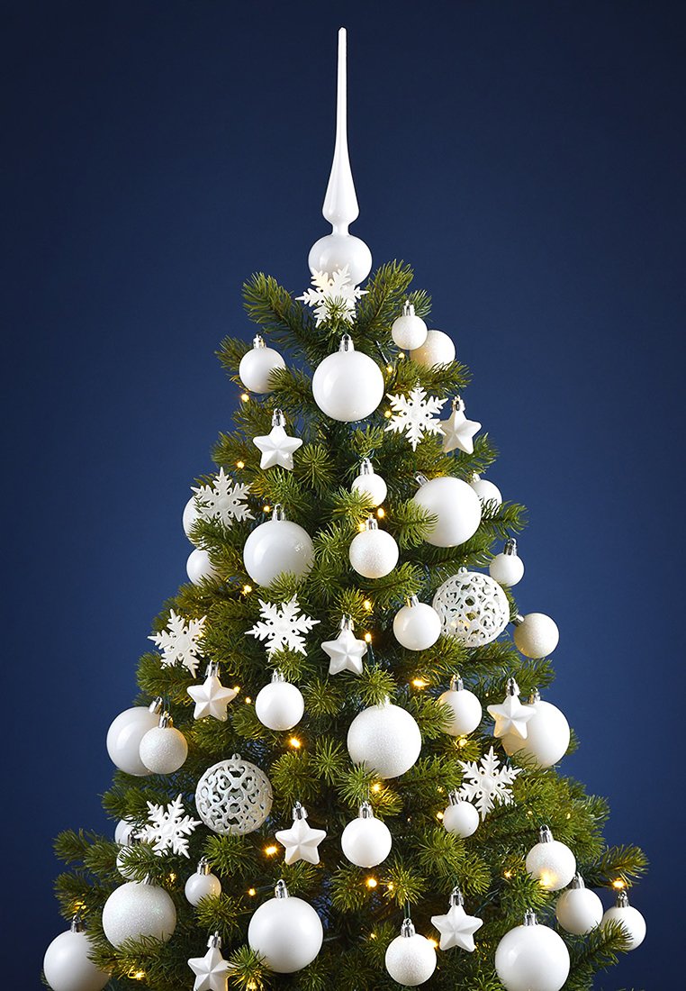 G.Wurm Decorazione - Immagine 2