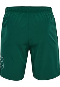 Pantaloni corti sportivi verdi realizzati in tessuto leggero, con vita elasticizzata e design a chevron bianco sul lato sinistro.