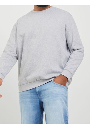 Sweater - light grey