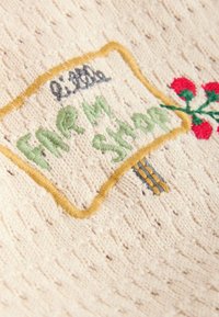 Tissu tricoté beige avec texte brodé vert et gris "ARM SHADY" à l'intérieur d'une bulle de dialogue bordée d'or et des fleurs rouges à proximité.