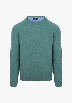 Groene gebreide trui met een ronde halslijn, lange mouwen en geribde manchetten. Soepele textuur en een mengeling van donkere en lichtere groentinten.