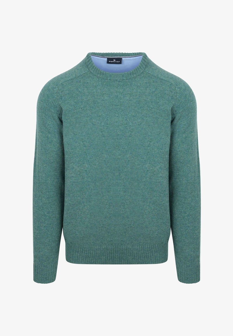 Groene gebreide trui met een ronde halslijn, lange mouwen en geribde manchetten. Soepele textuur en een mengeling van donkere en lichtere groentinten.