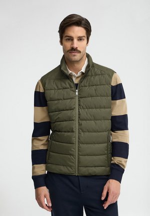 Uomo con capelli scuri e baffi, indossa un gilet trapuntato verde oliva sopra un maglione beige a righe blu navy, in piedi davanti a uno sfondo semplice.