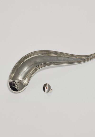 Zilveren, metalen sculpturale object met een gebogen, verlengde vorm en een gladde textuur, vergezeld van een klein, rond stuk.
