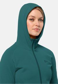 Jack Wolfskin BAISELBERG - Outdoorjas - petrol