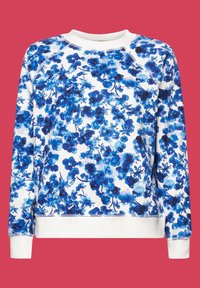 Blommig sweatshirt i vitt med blå mönster, med rund hals, långa raglanärmar och ribbade muddar och nederkant.