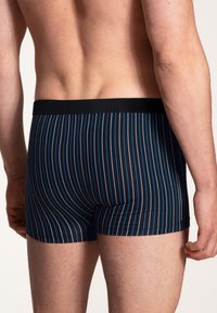 Black striped boxer briefs with blue vertical stripes, elastic waistband, fitted design, and smooth texture. View from the back.