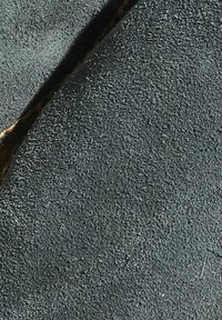 Scarosso PABLO - Espadrile - grey  suede