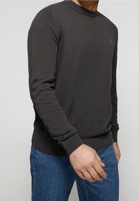 Ciemnoszary sweter z długim rękawem wykonany z miękkiego materiału, z prążkowanym dekoltem i mankietami. Na piersi znajduje się małe logo. Kompletny zestaw z niebieskimi dżinsami.