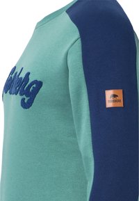 FORSBERG MIT VINTAGE LOGO - Felpa - grün