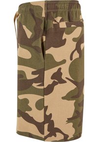 Camouflage shorts made of soft cotton, featuring green, brown, and beige patterns, elastic waistband, and a rear pocket.