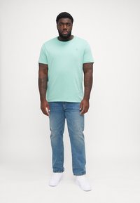 Polo Ralph Lauren Big & Tall JERSEY CREWNECK T-SHIRT - Basic póló - celadon