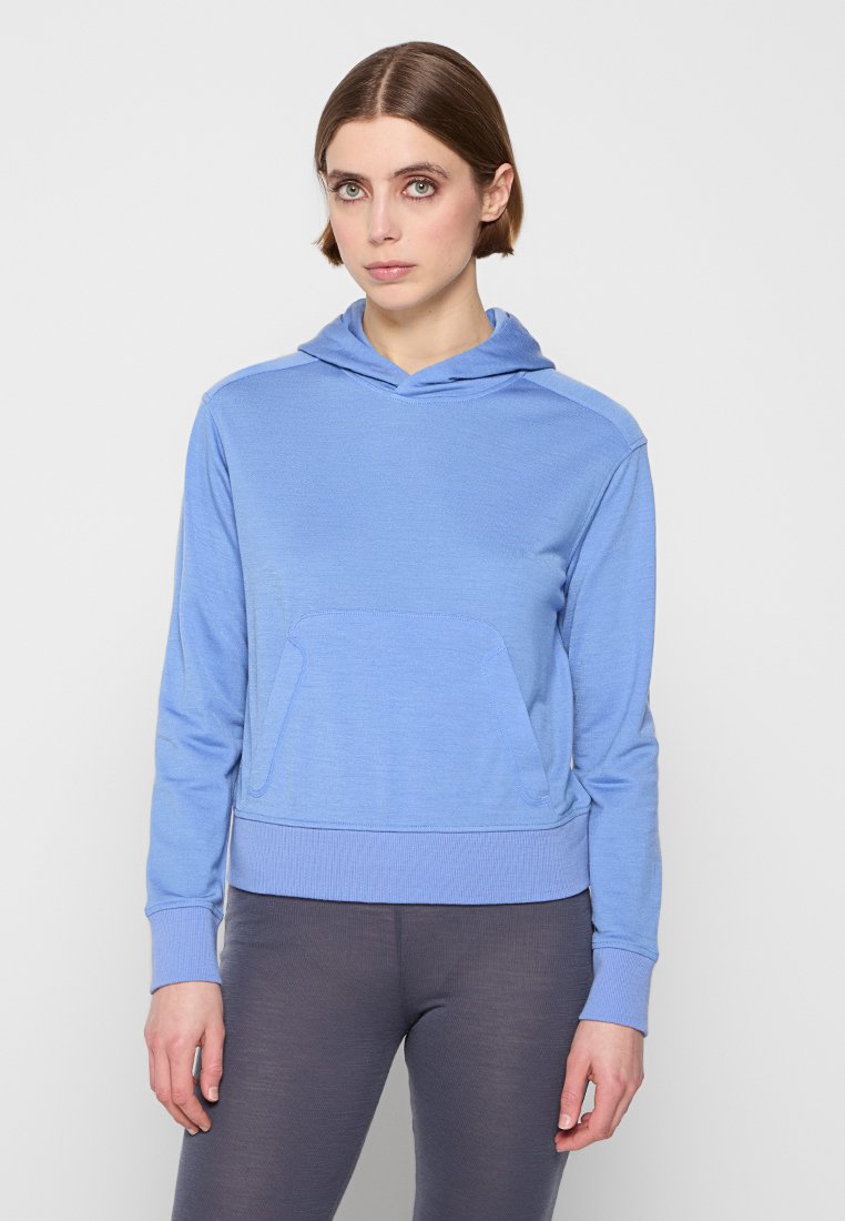 Icebreaker Hoodie blauw