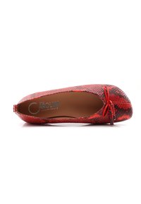 Chaussures plates en cuir imprimé serpent rouge et noir avec un intérieur en cuir lisse et un nœud décoratif sur le bout. Présente une forme arrondie et une surface polie.
