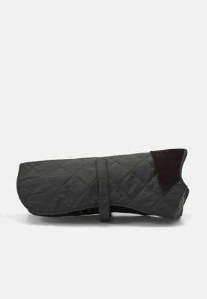DOG COAT - Pet accessory - olive