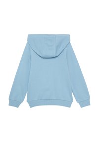 Lichtblauwe hoodie met een losse pasvorm, lange mouwen, een ruime capuchon en ribgebreide manchetten en zoom. Soepele textuur zonder zichtbare patronen.