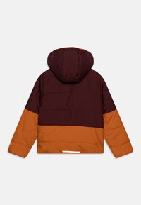 Jack Wolfskin TWO HILLS  - Giacca invernale - autumn leaves