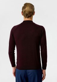 Bordeaux gekleurde gebreide trui met lange mouwen en een ronde halslijn, met een gladde textuur en geribde boorden en onderkant. Zichtbare details op de achterkant.