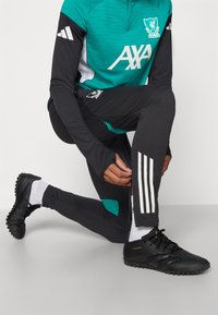 adidas Performance LIVERPOOL FC PANT - Klubu apģērbs - black