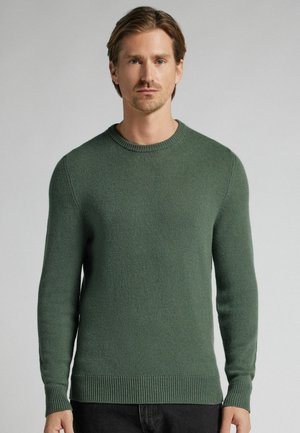 Pull en tricot vert foncé avec un col rond, des manches longues et des poignets et un ourlet côtelés. Texture lisse avec une surface légèrement texturée.