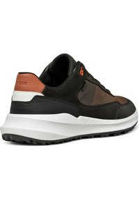 Geox Zapatillas - dark coffee