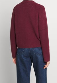 EDITED Chaqueta de punto - dark red