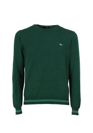 Green knit sweater with a crew neck, long sleeves, and ribbed cuffs and hem. Small white logo on the chest. Smooth texture and medium weight.