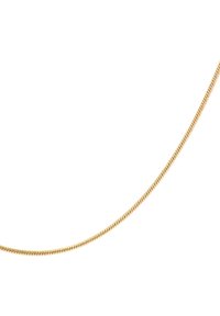 Collar de cadena de serpiente dorada con un diseño flexible, que presenta una textura suave y patrones en espiral delgados a lo largo de su longitud.