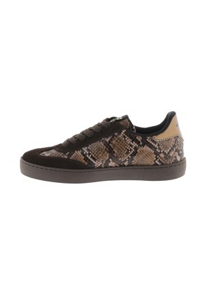 BERLIN LOW - Sneakers basse - marron