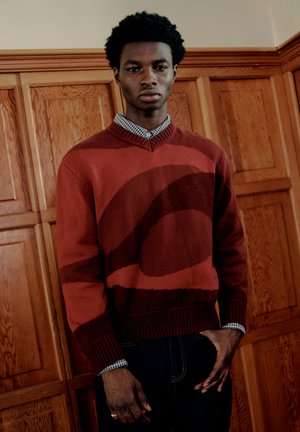 House of Sunny LANDSCAPE UNISEX - Strikkegenser - ruby red