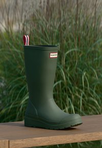 Επιλέχθηκε, lichen green