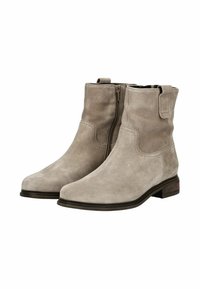Graue Wildleder-Stiefeletten mit seitlichem Reißverschluss, runder Zehenpartie und niedrigem Holzabsatz. Mit Steppdetails und einer Lasche an der Rückseite.