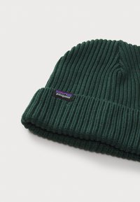 Patagonia FISHERMANS ROLLED BEANIE UNISEX - Gorro - cascade green
