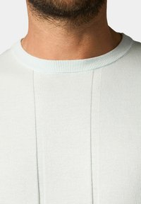 Hellgrüner Pullover mit Rundhalsausschnitt, strukturiertem Stoff und vertikalen Nahtdetails auf der Vorderseite. Weiche, figur betonte Silhouette.