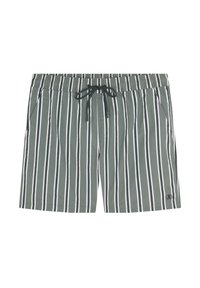 Shorts de bain verts à rayures blanches verticales, fabriqués dans un tissu léger, avec une taille élastique et un cordon de serrage, deux poches latérales.