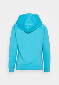 Jasnoniebieska bluza z kapturem o miękkiej fakturze, z długimi rękawami i luźnym krojem. Posiada kaptur ze sznurkiem oraz ściągacze na rękawach.