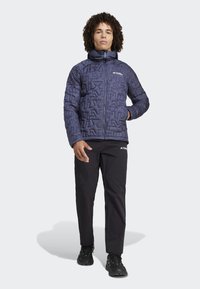 Adidas Terrex Jachetă de iarnă - shadow navy