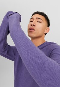 Jack & Jones JJEHILL CREW NECK  - Džemperis - twilight purple