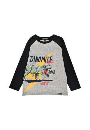 Langärmliges graues T-Shirt mit schwarzen Raglanärmeln. Es zeigt ein buntes Dinosaurier-Graphic und Text in fetten Schriftarten, vor einem Blitzdesign.